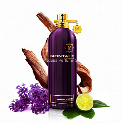 Montale Aoud Ever